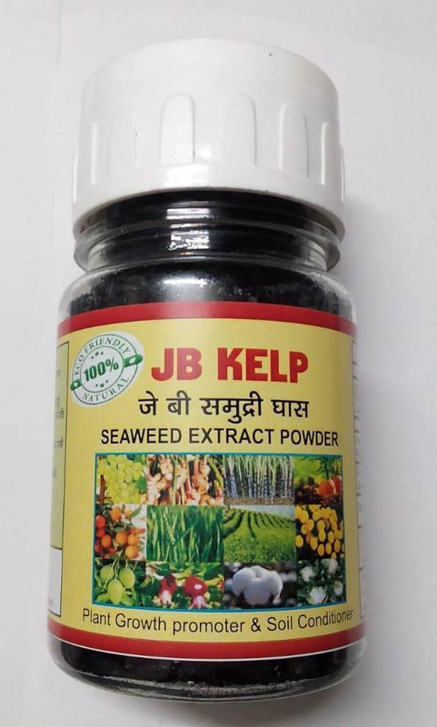 jb kelp SEAWEED EXTRACT POWDER jbk001 Soil Manure(100 g Powder)