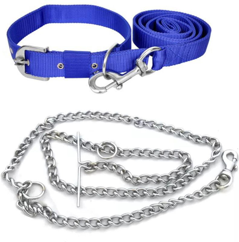 ADIOS COMBO OF DOG BLUE BELT WITH DOG CHAIN Dog Collar & Chain(Medium, BLUE)