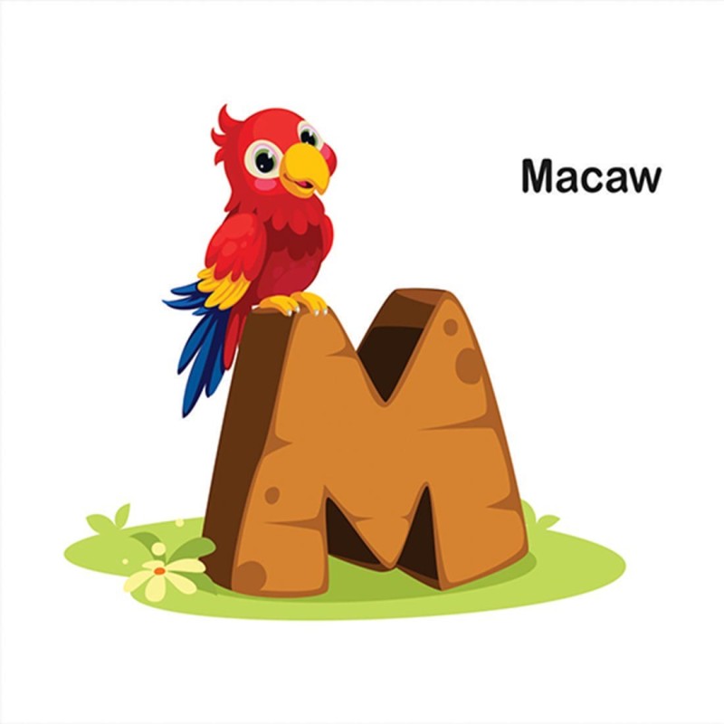 Artway Alphabet M for Macaw Wall Sticker, Wall Art, Fridge Sticker (PVC Vinyl, 60 cm x 46 cm, Multicolour) Medium PVC Vinyl Self Adhesive  Sticker(Pack of 1)