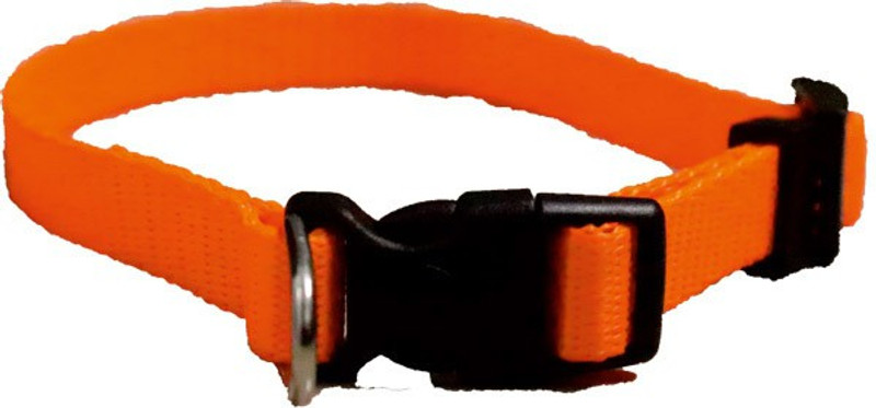 furryangels Furry Angels Polyester Adjustable Collar and Leash Set (Size - Small) for small Dogs Dog Collar & Chain(Small, orange)