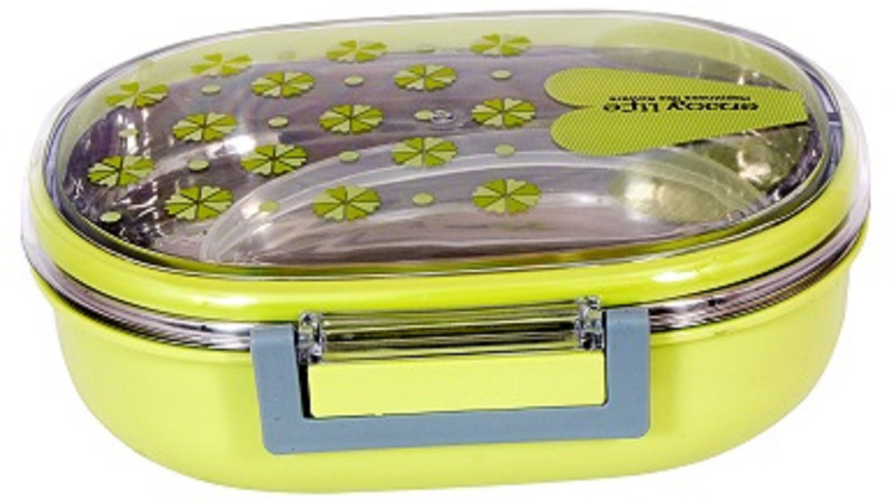akr Stylish BPA Free Leak Proof Stainless Steel 1 Containers Lunch Box(500 ml)