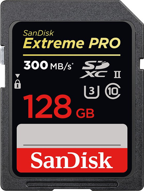 SanDisk SDSDXPK-128G-GN4IN Extreme Pro 128 GB SDXC Class 10 300 Mbps Memory Card Compatible with Camera, Tablet, Mobile