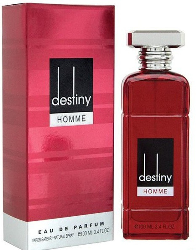 lamuse DESTINY HOMME Eau de Parfum  -  100 ml(For Men)