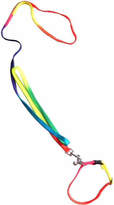 ADIOS 1/2 INCH CAT & PUPPY RAINBOW COLOR BELT Dog & Cat Collar & Leash(Extra Small, MULTI COLOR)