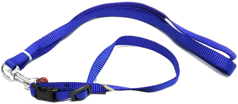 ADIOS GOOD QUALITY BLUE COLOR PUPPY & KITTEN BELT SET Dog Collar & Leash(Extra Small, Multicolor10)