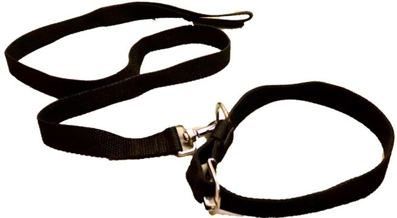 furryangels dog Collar and Leash Set -Small Dog Collar & Chain(Small, BLACK)