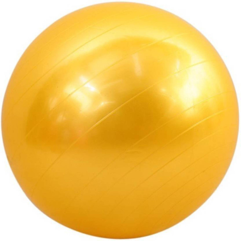 effingo Anti-Burst Gym Ball (65cm) with Pump, Exercise Ball Gym Ball(With Pump)