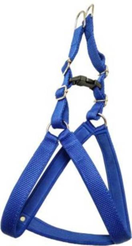 BODY BUILDING GOOD QUALITY DOG BODY BELT Dog Everyday Collar Dog Everyday Collar(Medium, Blue)