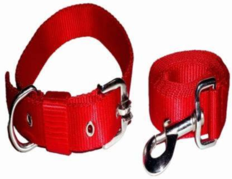 BODY BUILDING GOOD QUALITY 1 INCH BLACK COLOR DOG BELT Dog Collar & Leash(Medium, black)