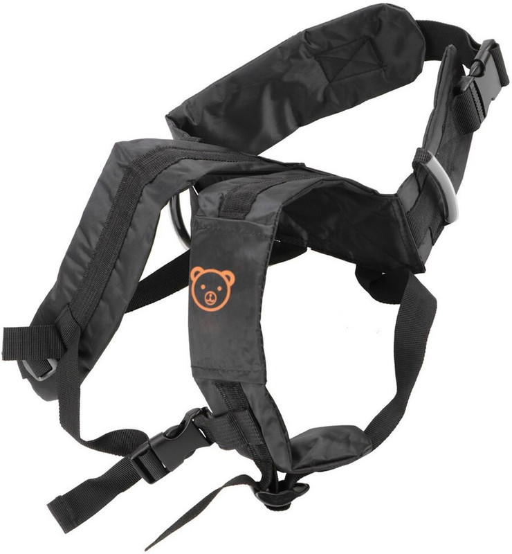 Buy Nema Motorcycle Adjustable Child Safety Carrier Seat Belt