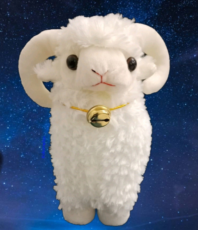 kokomelon SHEEP  - 30 cm(White)