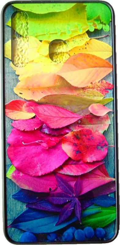 the bucardo Back Cover for Samsung Galaxy A20(multi color)