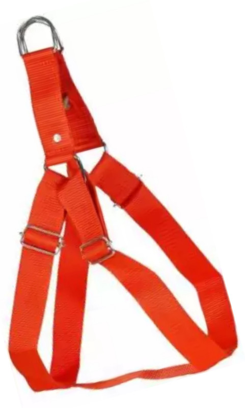 BODY BUILDING GOOD QUALITY 1 INCH RED COLOR DOG BODY BELT Dog Standard Harness(Medium, MULTI COLOR)