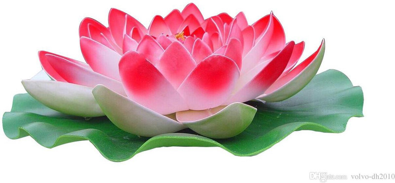 dannyboyzs Dannyboyzs Artificial Water Floating Lotus Home Pink Wild Flower Artificial Flower(7 inch, Pack of 1)