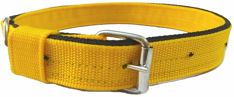 kowshik pet world Alphabet Engraved Dog Collar Charm(yellow color, Solid)