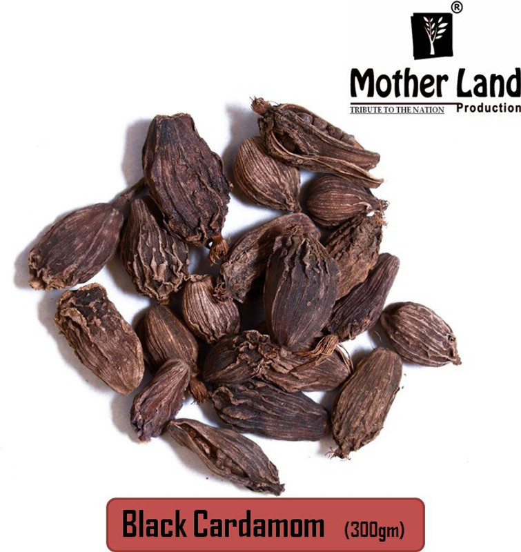 0-38-big-black-cardamaom-pouch-motherland-production-whole-original-imafjh8y4hfxpbgp.jpeg