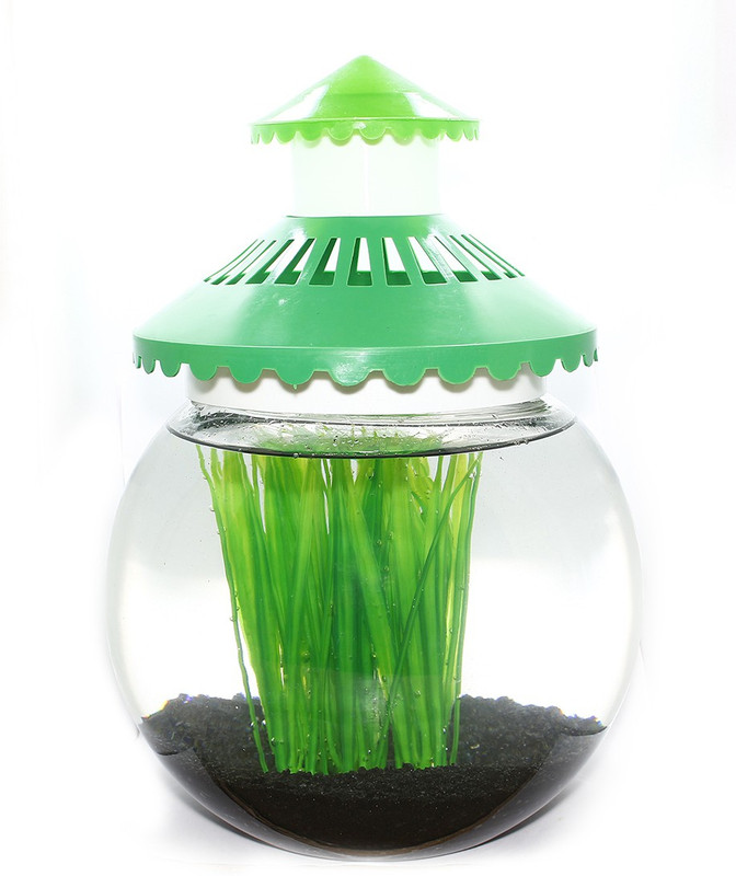 fishyscapes s002 Round Ends Aquarium Tank(3 L)