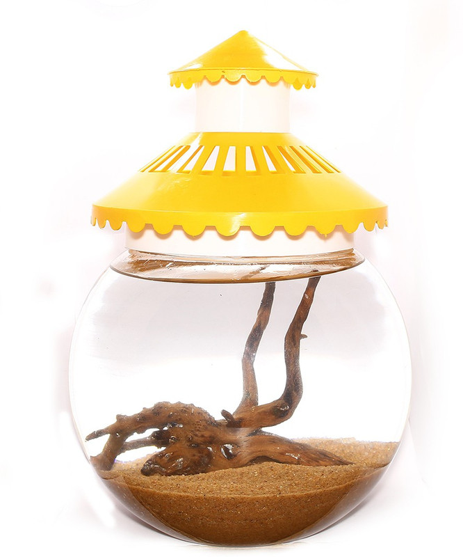 fishyscapes fs003 Round Ends Aquarium Tank(3 L)