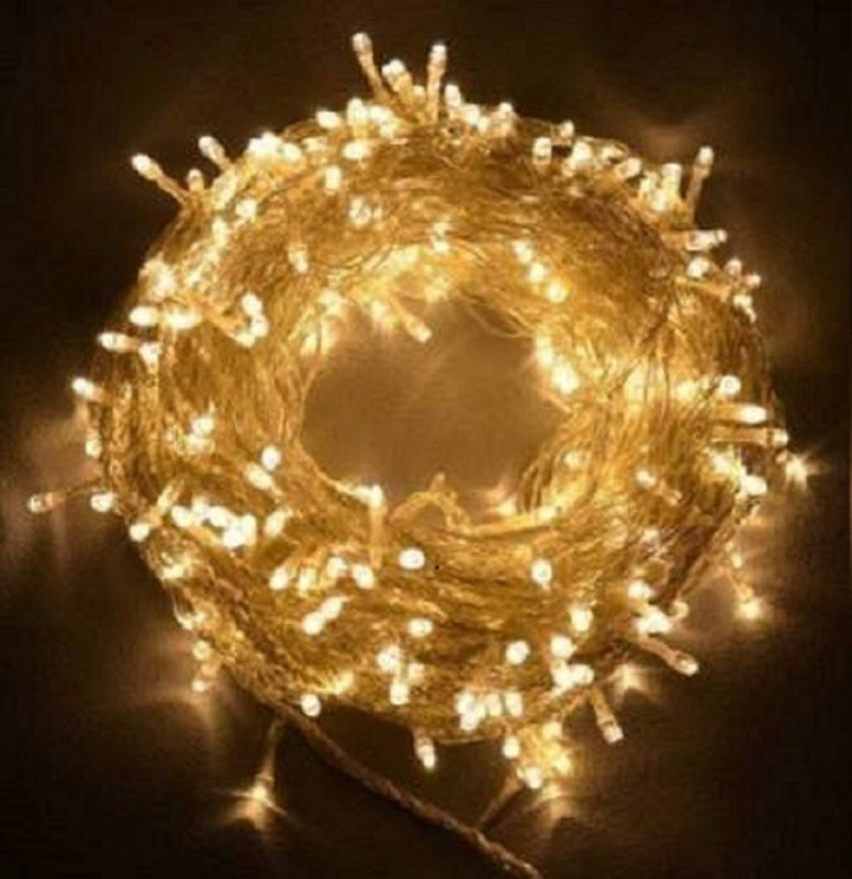 hezal fashion house 596 inch Gold Rice Lights(Pack of 10)