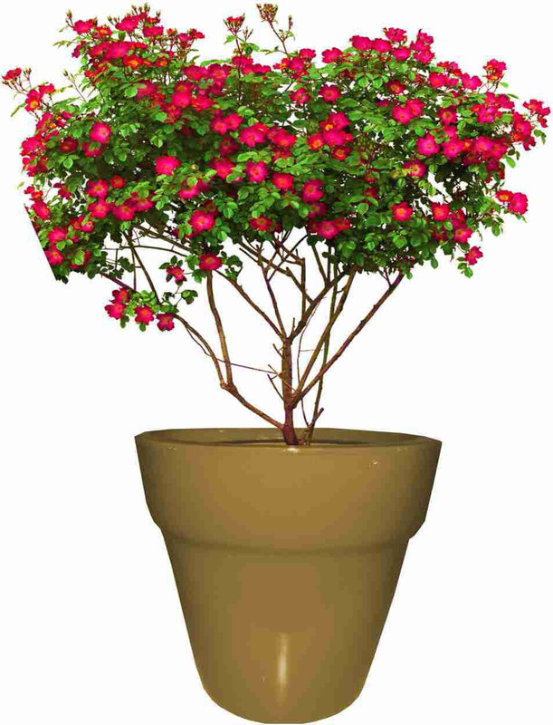 stay modern 9318320458 Fiber Flower Basket(W: 20.1 cm x H: 20.1 cm x D: 20.1 cm)
