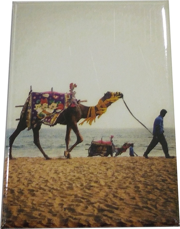 sahi pakde hain Desert image Fridge Magnet Fridge Magnet Pack of 1
