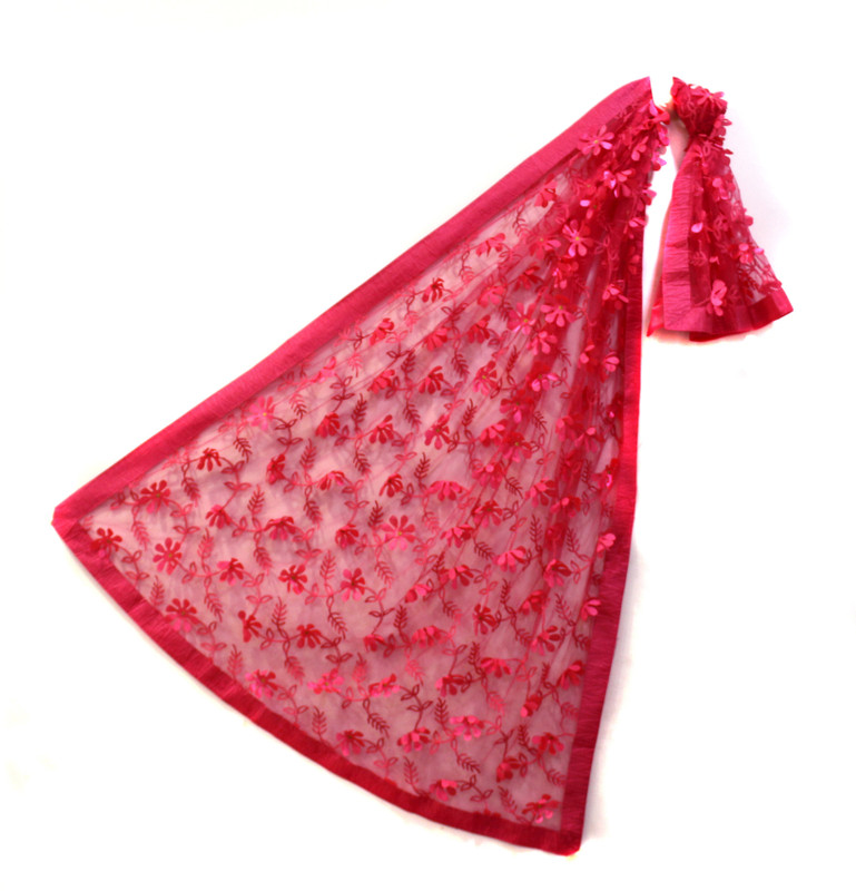 anant designer studio Net Embroidered Women Dupatta