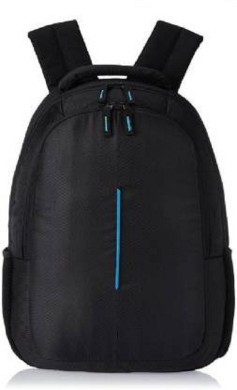 fastriva 17.3 inch Laptop Backpack(Black, Blue)
