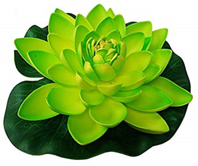 dannyboyzs Dannyboyzs Artificial Water Floating Lotus Home and Party Decorations 7 inch, Pack of 1 Green Artificial Flower Green Wild Flower Artificial Flower(7 inch, Pack of 1)