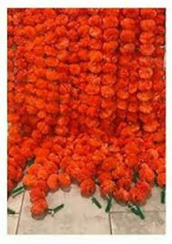 dannyboyzs Artificial Orange Marigold Flower 10 strings .Flowers for home and party decorations, Diwali decorations flowers, Orange Marigold Artificial Flower Red Marigold Artificial Flower(60 inch, Pack of 10)