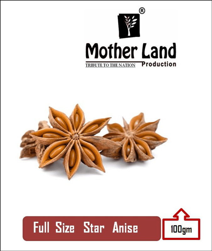 motherland production Star Anise / Badiyan (100gm)(0.1 kg)