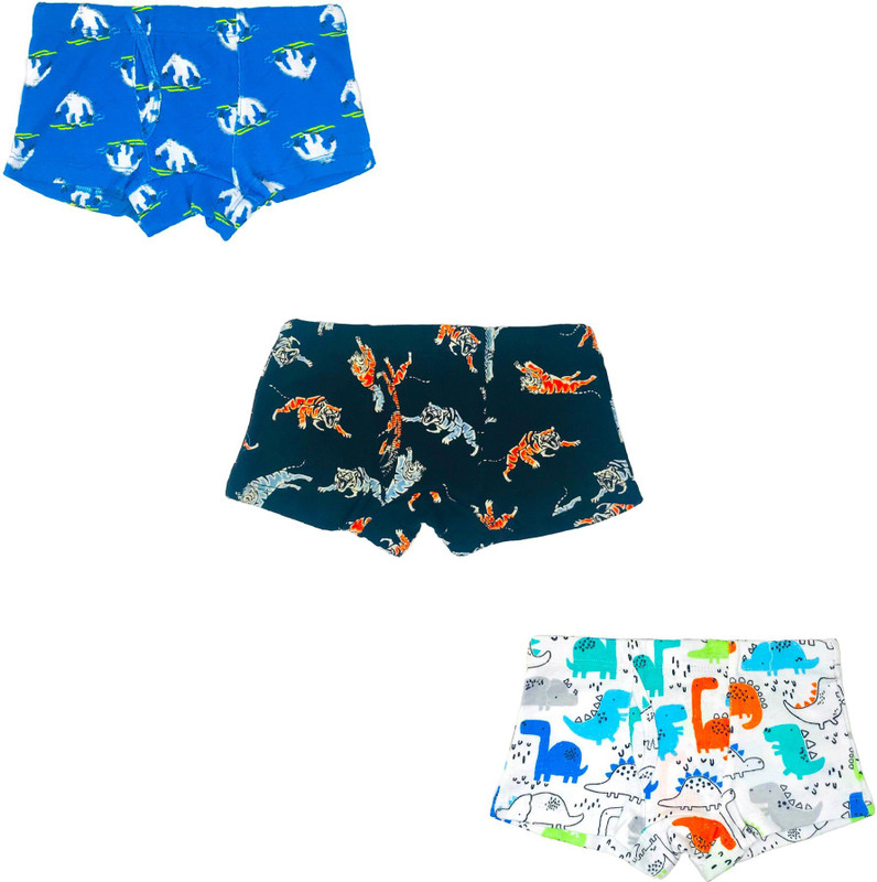 color culture Brief For Boys(Multicolor Pack of 3)
