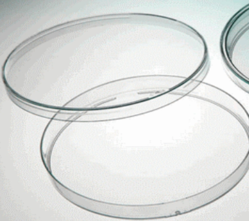 levram Polystyrene Disposable Petri Dish(88 mm Pack of 6)