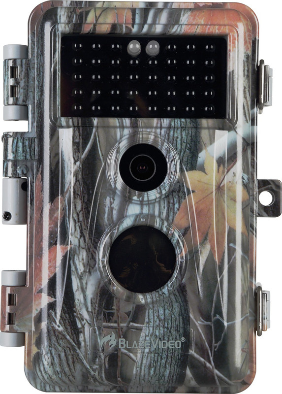 BlazeVideo Bird Camera