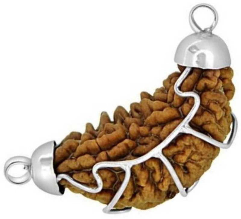 shahinpearlmart 1 Mukhi Lab Certified Genuine & Authentic Rudraksha | One Face | Ek Mukhi Pendant With Lab Certificate (White Metal Pendant) (1 Pc) Wood, Metal Pendant Silver Wood Pendant