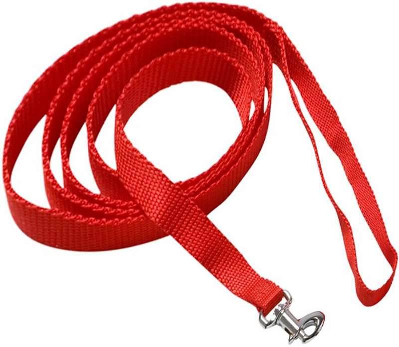 Nema 600 cm Dog Strap Leash(Red)