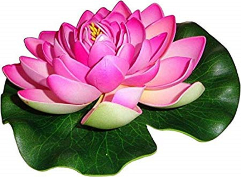 dannyboyzs Artificial Water Lilies Foam Floating Lotus Flower Pink Lotus Artificial Flower(7 inch, Pack of 1)