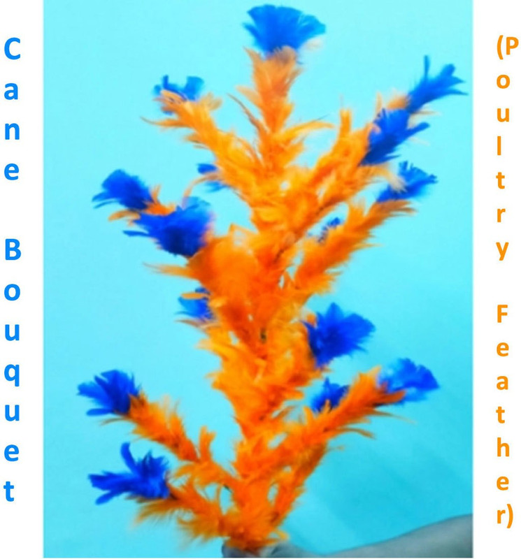 kreiz Poultry Feather Cane Bouquet Feather Magic Trick 1 Magic Tricks(Age: 6+)