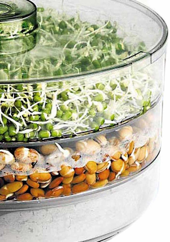 arthu ARTHU Sprout Maker  - 900 ml Plastic Grocery Container(White)