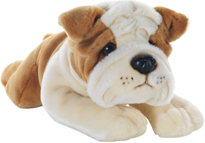 dollar store bull dog  - 20 cm(Cream)