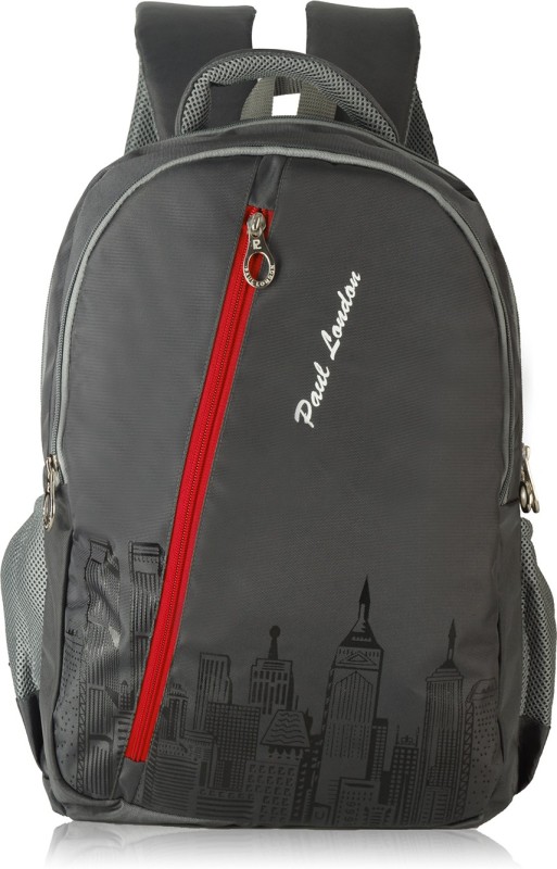 Paul London Pixel 35 L Backpack(Grey)