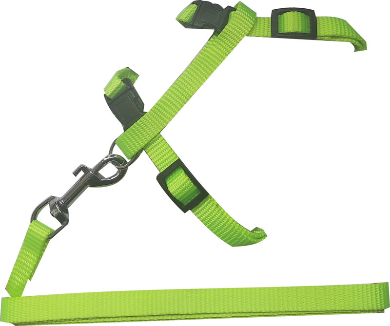 ADIOS Nylon Harness Strap Collar with Leash Set Small Pet Walking Cat Harness & Leash(Medium, MULTI COLOR)