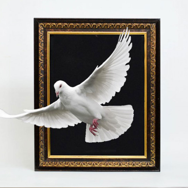 kreiz Color Changing Dove Frame Semi Illusion Magic Trick 1 Magic Tricks(Age: 8+)