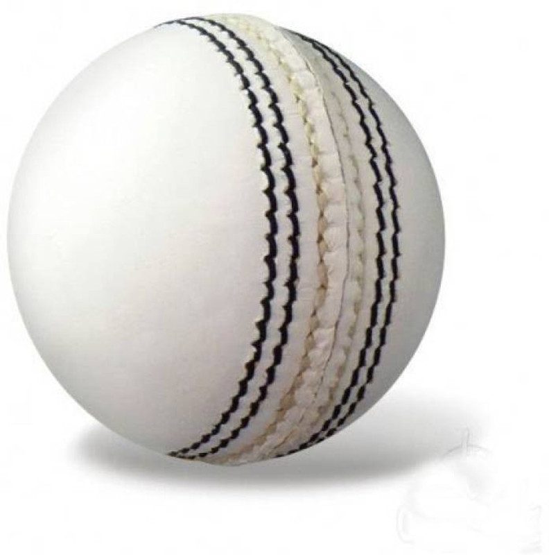 Sagah flicks 2 panel Cricket Leather Ball(Standard, Pack of 1, White)