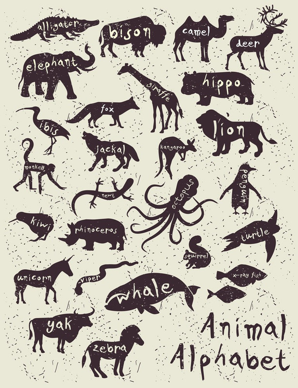KD animal alphabet Sticker Poster|Kids learning poster|Alphabet and number chart|size:12x18 inch Paper Print(18 inch X 12 inch, Rolled)