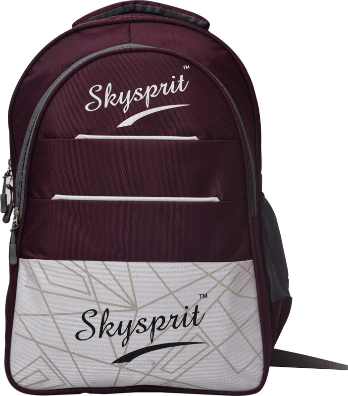 sky spirit lightweight casual waterproof laptop backpack (purple) 30 L Laptop Backpack(Purple)