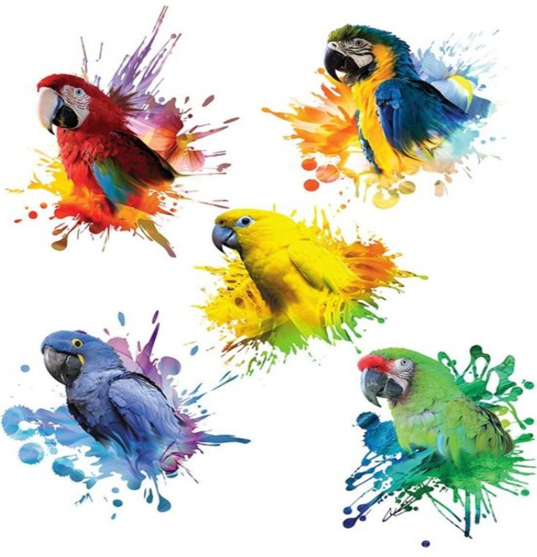 5 Parrot multi color birds tattoo(5 Parrot multi color birds tattoo)- Buy Online Angola at Desertcart -