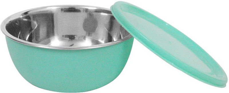 finality STAINLESS STEEL PLASTIC COATED MICROWAVE SAFE BOWL GREEN Stainless Steel Storage Bowl(Green, Pack of 1)