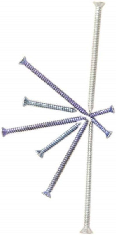 ram furniture Stainless Steel Pan Head Drywall Screw(3 mm Pack of 2000)