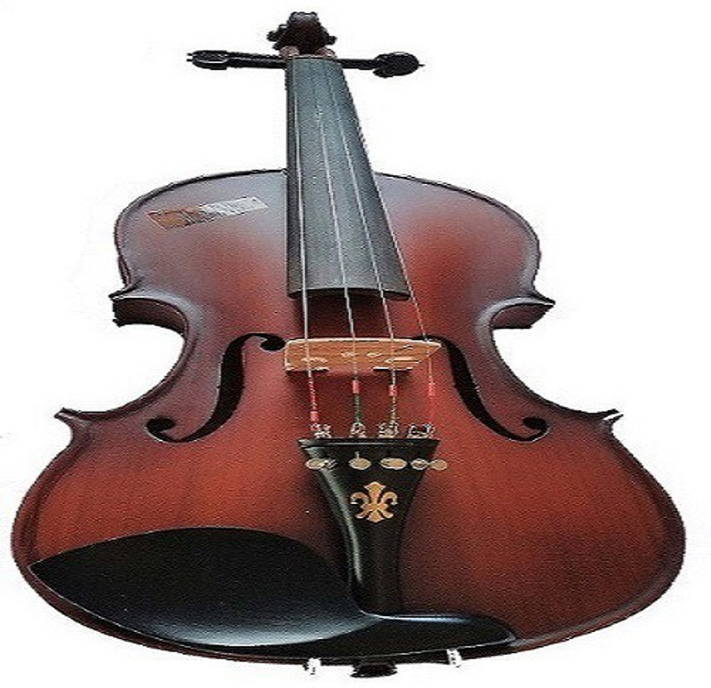 musical works 4/4 Semi- Acoustic Violin(BROWN MATT Yes)