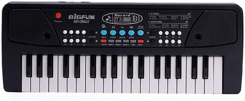 maitry piano-1(Black, White)